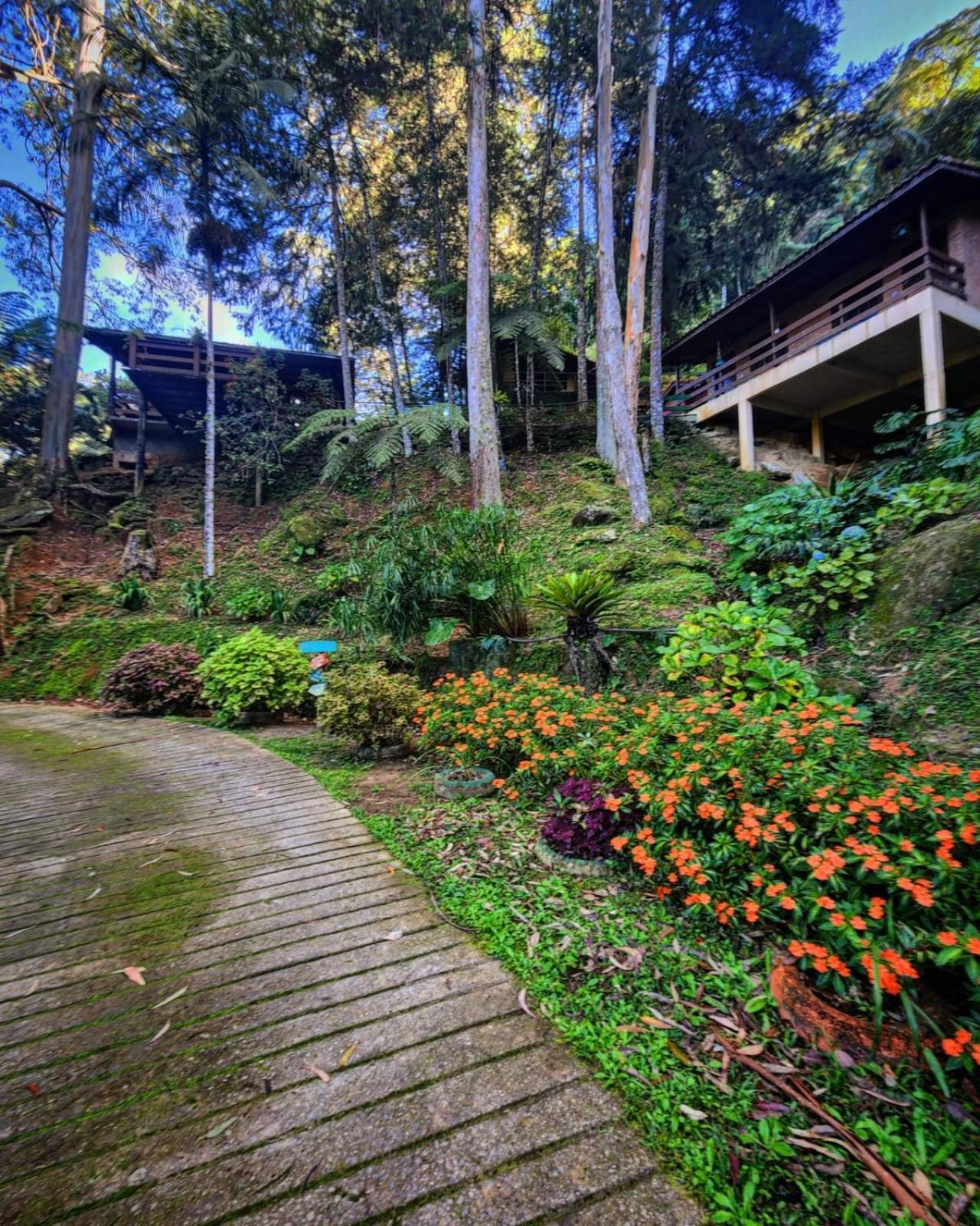 Recanto Dos Sonhos Guest House 루미아르 외부 사진